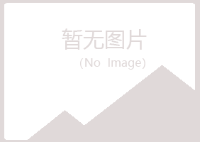 安图县淡忘咨询有限公司